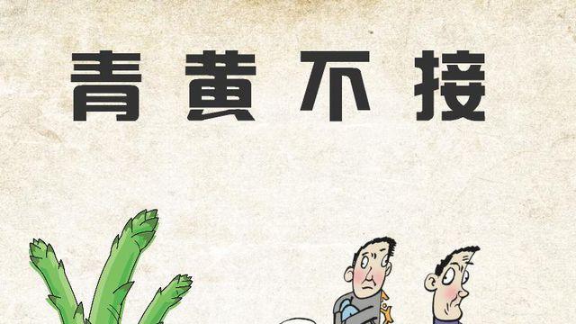 什么不接成语颜色