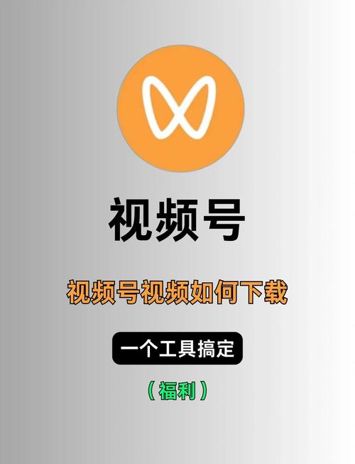 如何把相册里的视频发