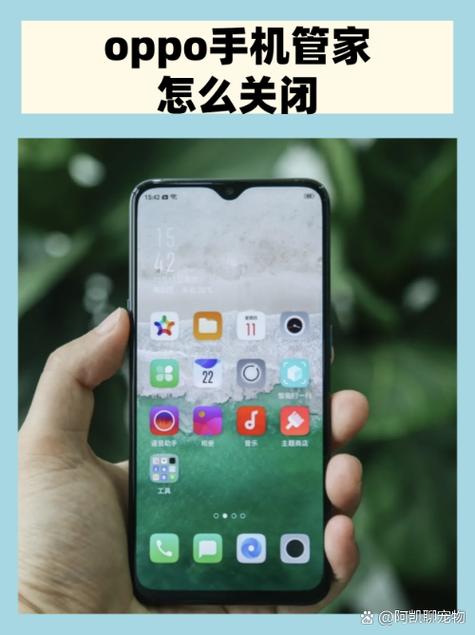 oppo深夜清理功能怎么关闭