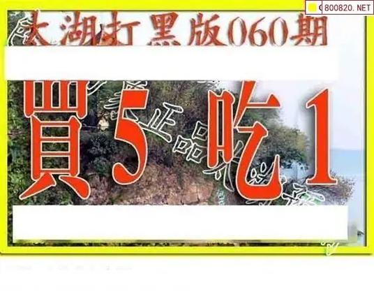 太湖打黑版今天的