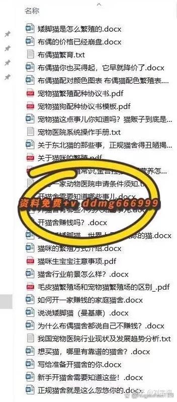繁殖宠物猫赚钱吗