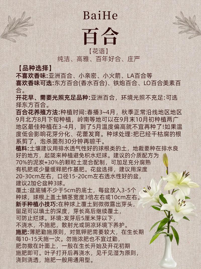 百合会账号注册方法游戏截图