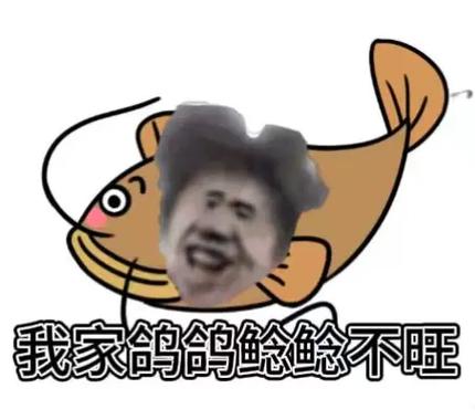 鸽舍最旺三个字