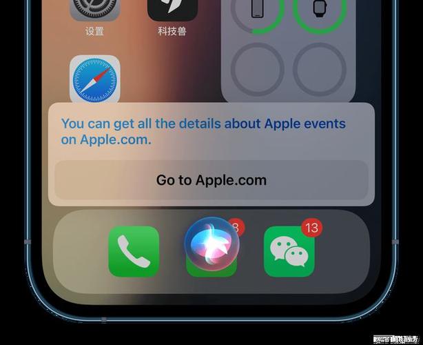 ipad总是语音控制