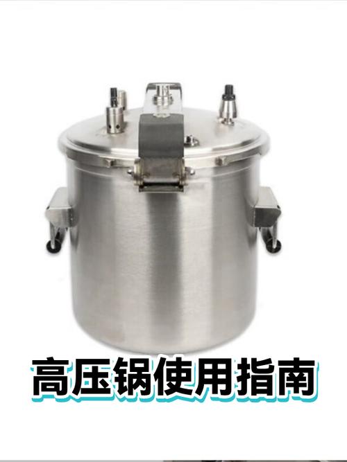 电压力锅和普通压力锅哪个好用游戏截图