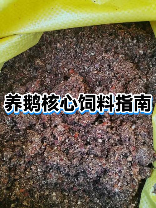 鹅之家养鹅app