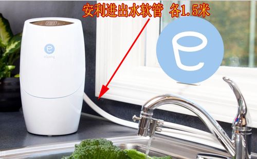 龟仙人的乐园汉化版最新老版本游戏截图