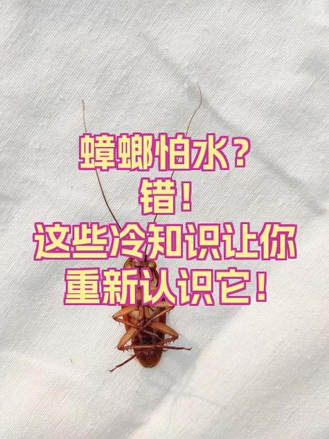 蟑螂最怕三个东西