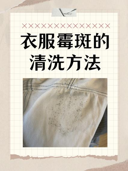 霉点用什么可以洗掉