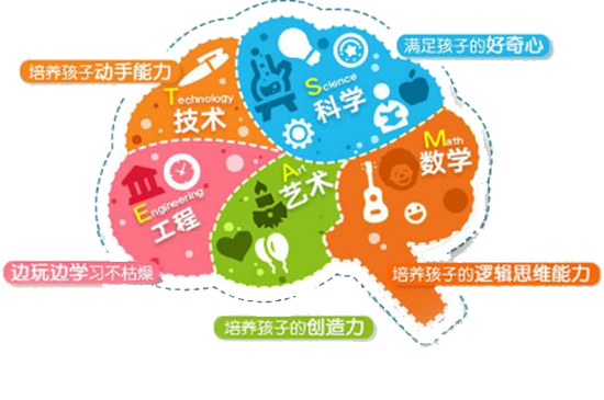 大班steam教学案例