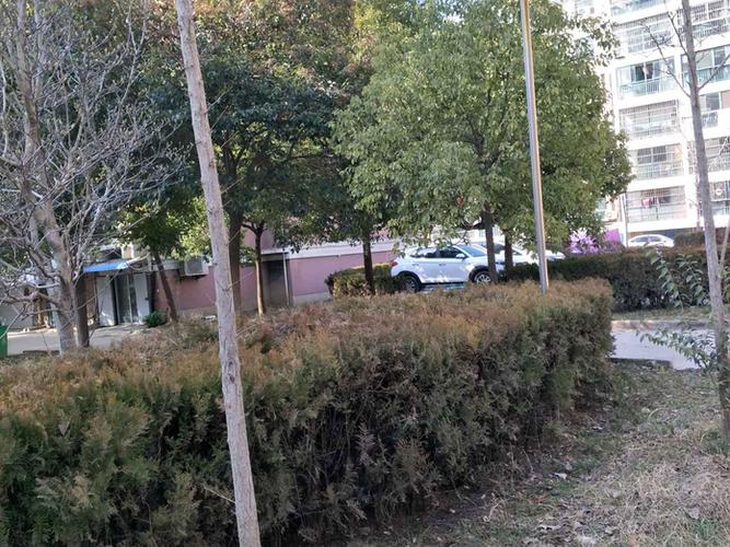灌南县城市花园