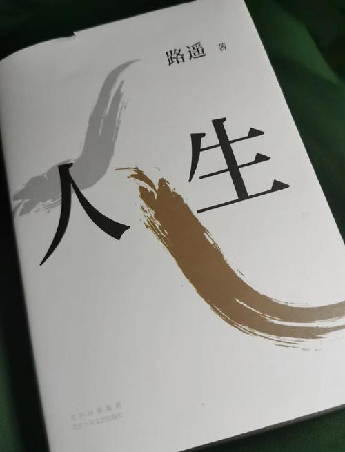 第二人生小说