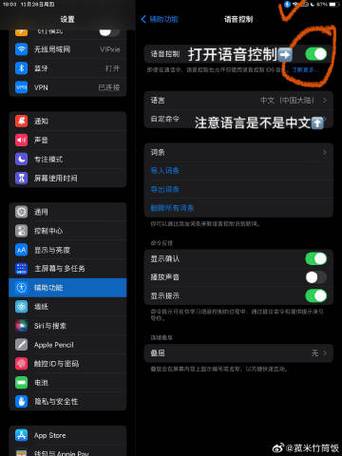 苹果平板语音控制怎么关闭