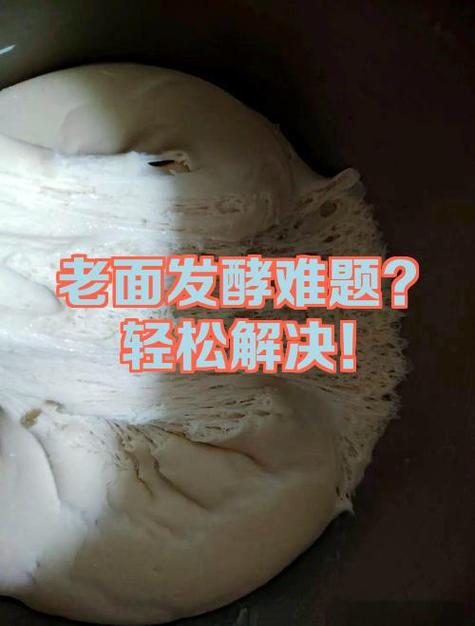 老面兑碱口诀10个字