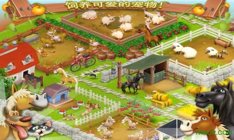 卡通农场中文版游戏截图