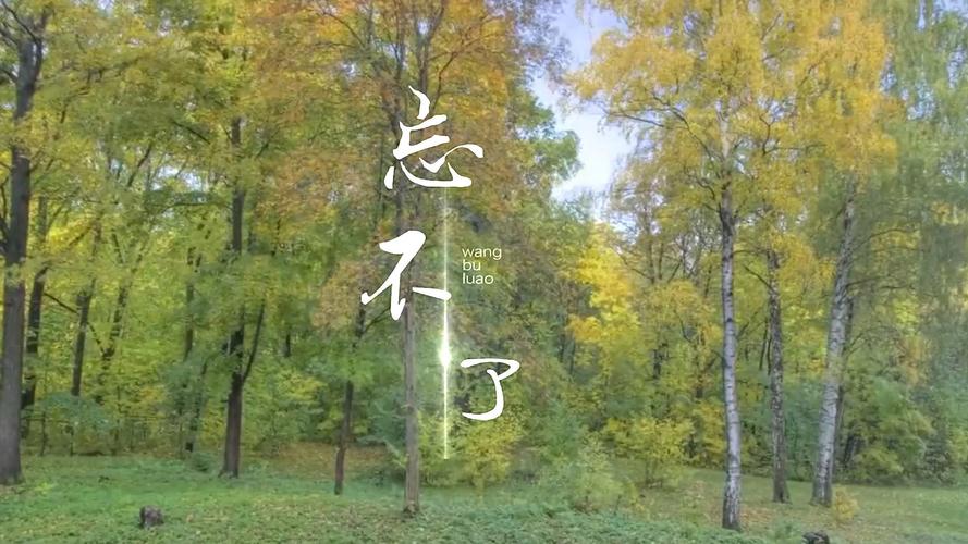 怎么能忘了 百度网盘