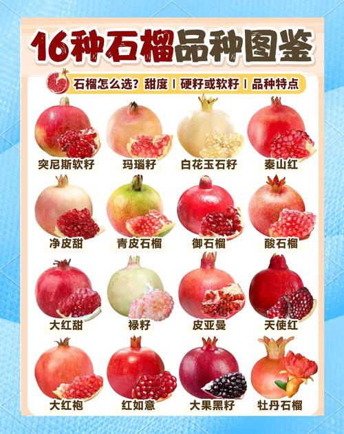 石榴有什么作用