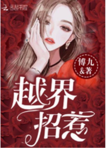 越界招惹小说