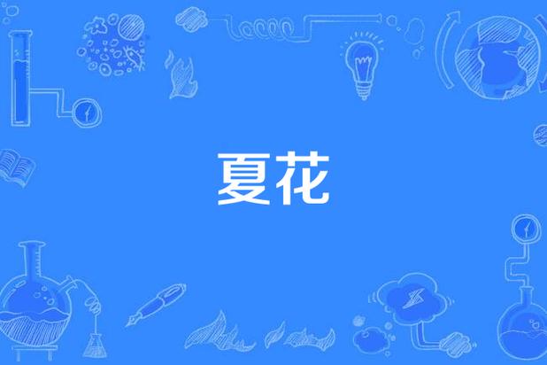 《夏花》歌词缩略图