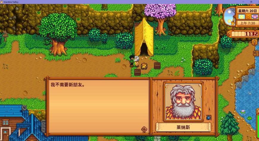 星露谷物语莱纳斯的篮子