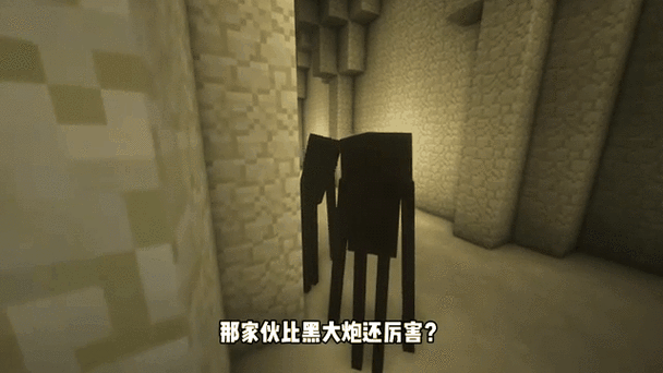 him和末影女王什么关系
