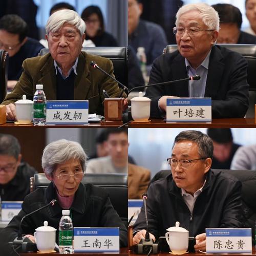 塔王之王南华如何配将