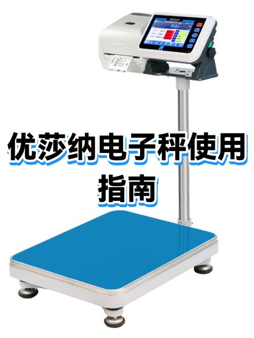 十大名牌电子秤游戏截图