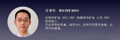 莱比特矿池2024年最新消息今天