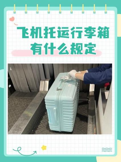 韩亚航空托运行李规定