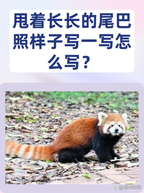 甩着长长的尾巴还有甩着什么图标