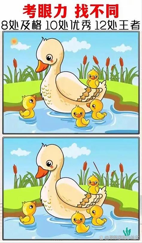 《看图找不同》