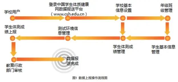 体质健康数据上报错误怎么办
