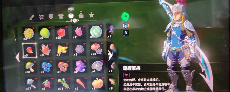 荒野之息暖暖草果在哪
