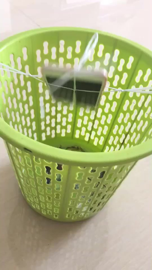 自己做摇步数神器