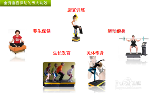 律动是啥意思