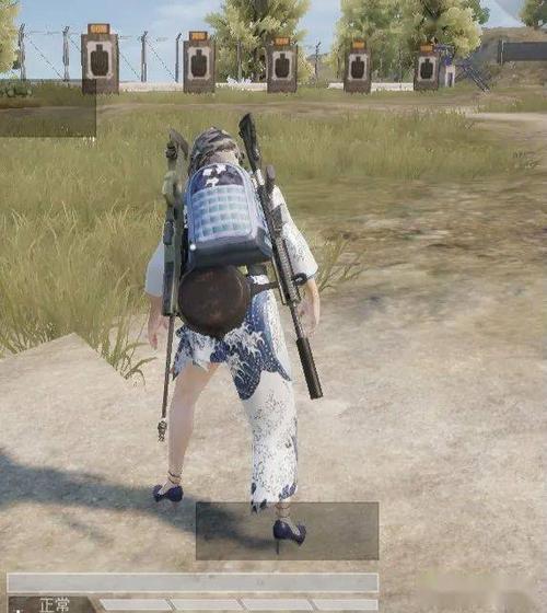 pubg神奈川美化缩略图