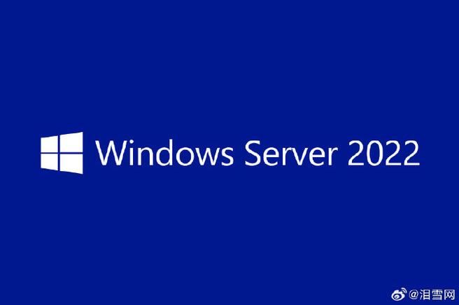 win2022server安装goolge