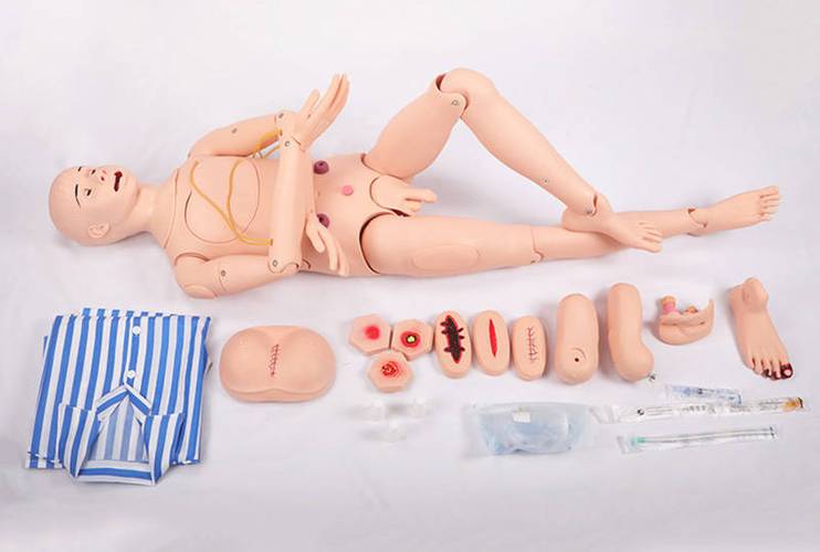 女性模型仿真模型