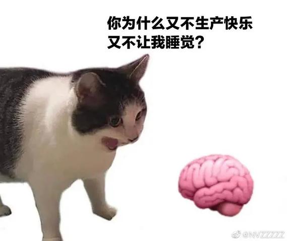 搞笑表情包配文