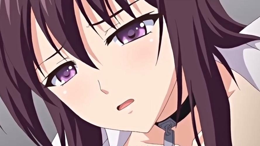 牝教师2的免cd补丁