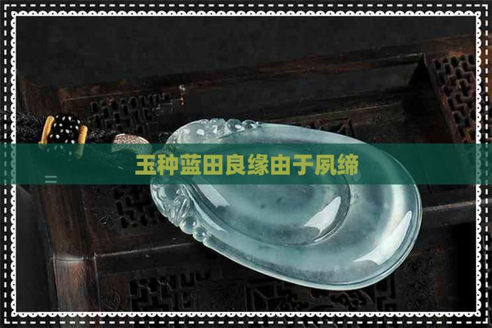 玉种蓝田结良缘