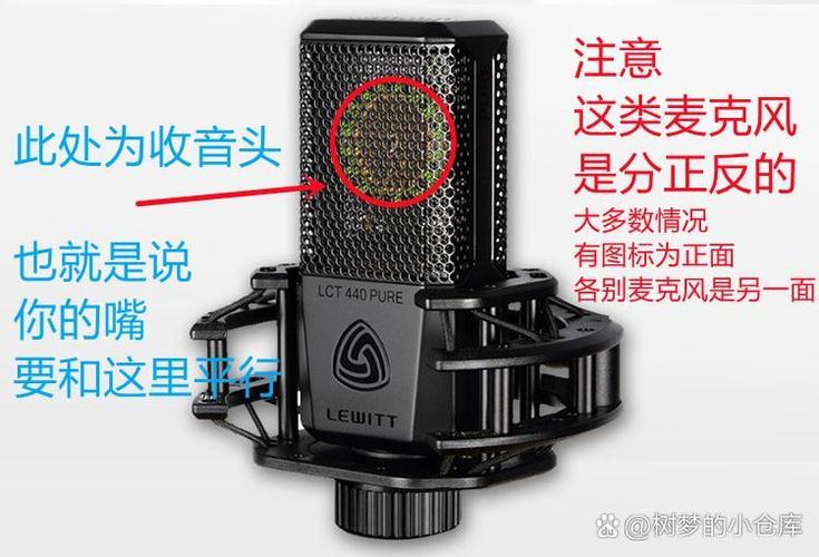 唱歌麦克风十大品牌排行榜缩略图