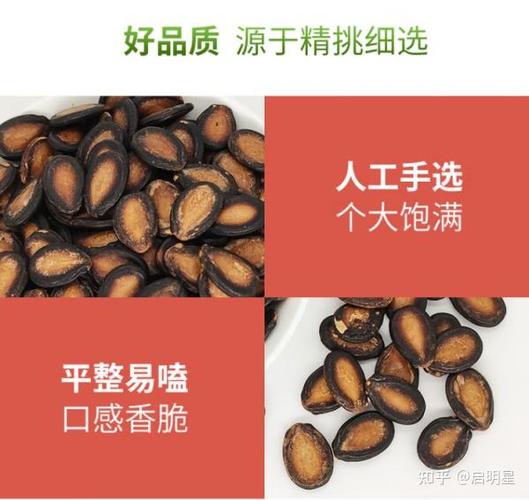 哪种瓜子热量最低