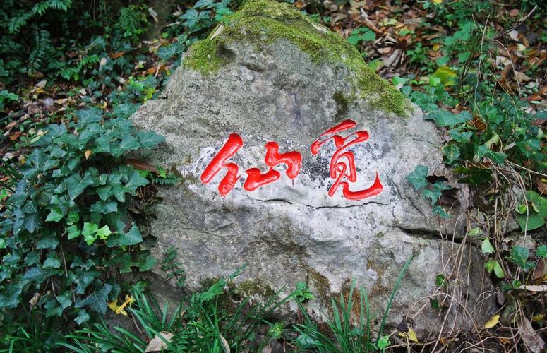 忘仙福地洞天是干嘛的