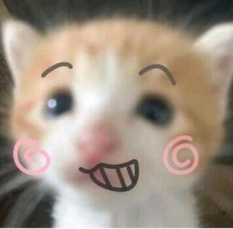 小猫头表情包缩略图
