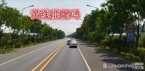 压双黄线扣多少分罚多少款游戏截图