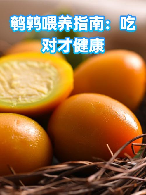 吃鹌鹑对身体好吗