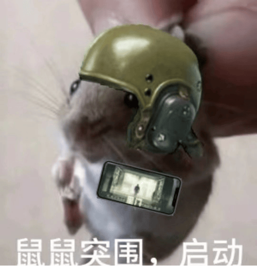 暗区老鼠表情包