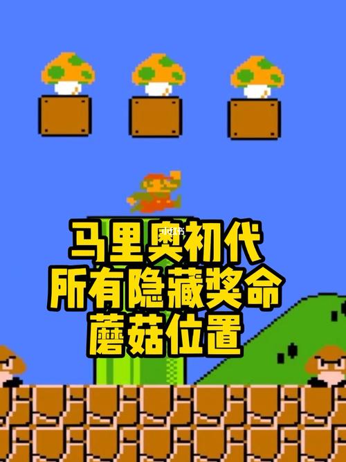 超级玛丽哪里有加命