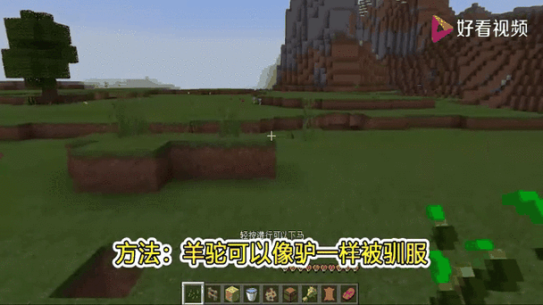 Mc怎麼搬家